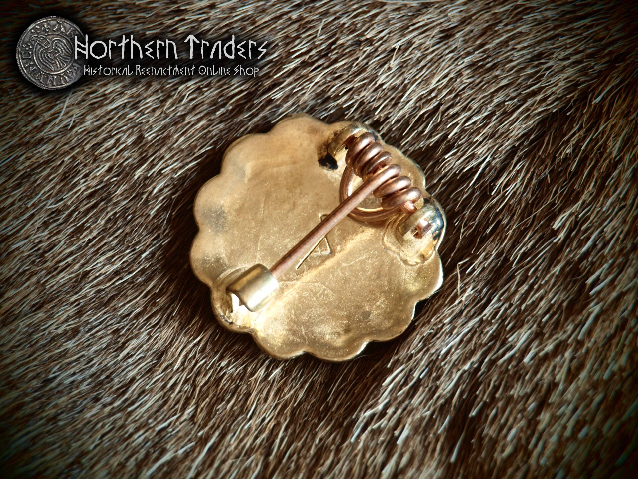 Merovingian Cloissone Rossette Brooch - Image 3