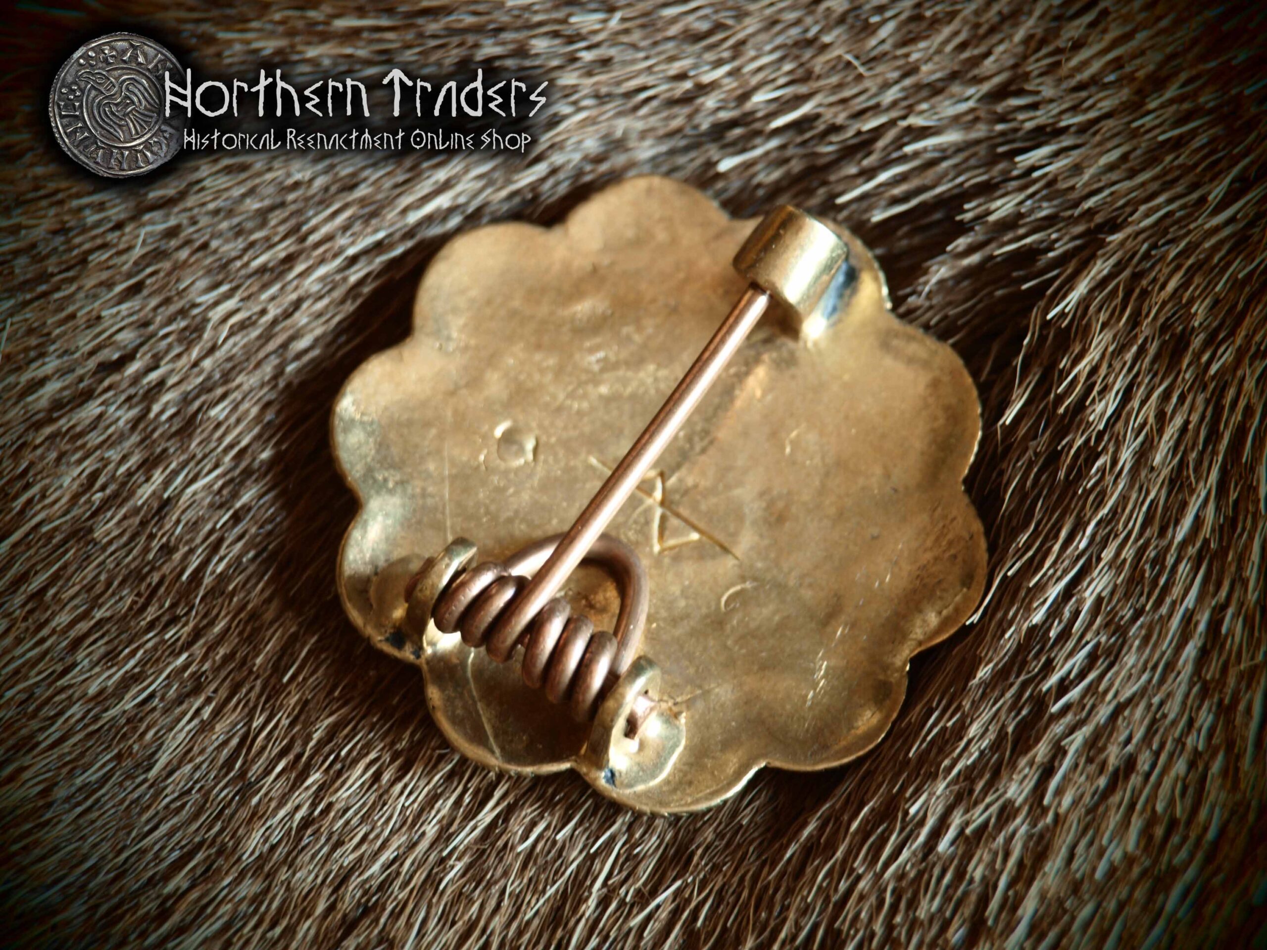 Merovingian Cloissoné Rossette Brooch - Image 3
